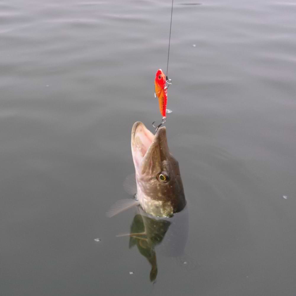 JACKALL Knockin' Jaw 46mm 7g Sinking