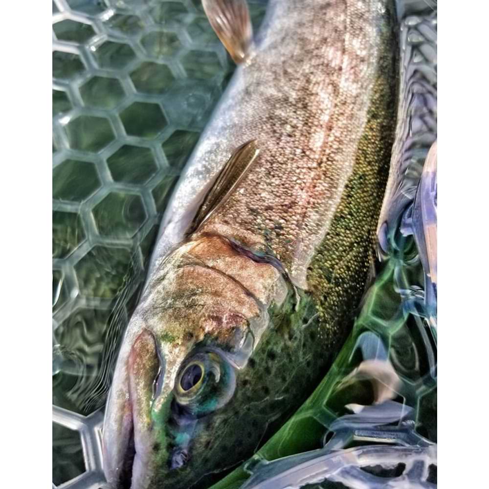 JACKALL Bung 10mm 0.6g