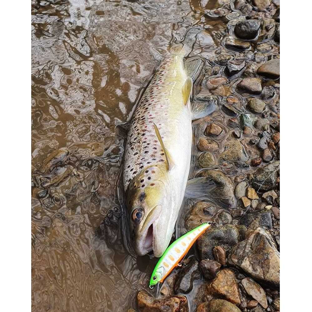 JACKALL Tricoroll Ryushin 70 HW 9.2g 70mm