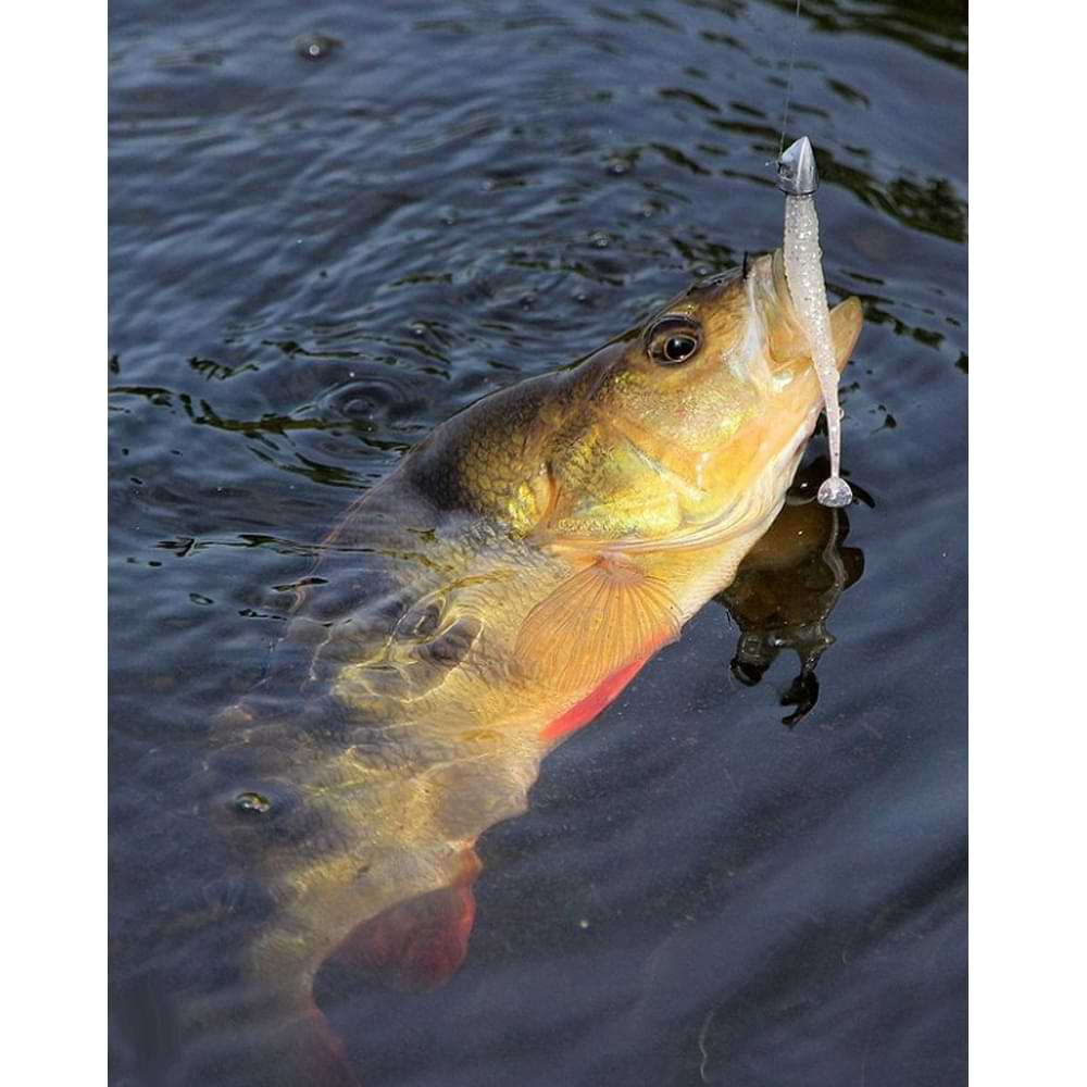 JACKALL I Shad Tail 2.8 inch