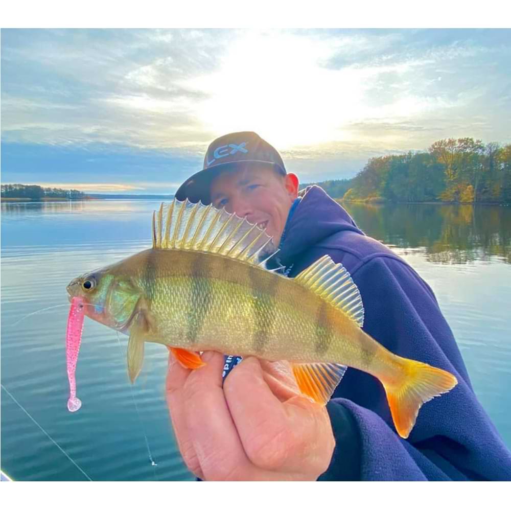 JACKALL I Shad Tail 2.8 inch