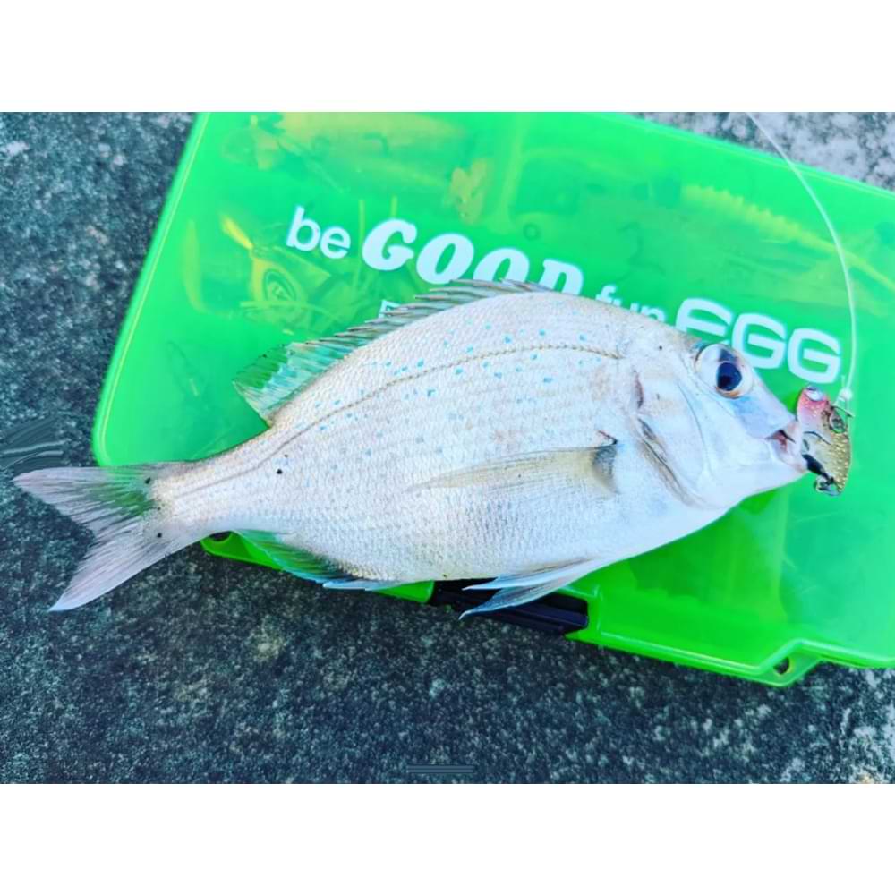 JACKALL NanoVib 3.0g