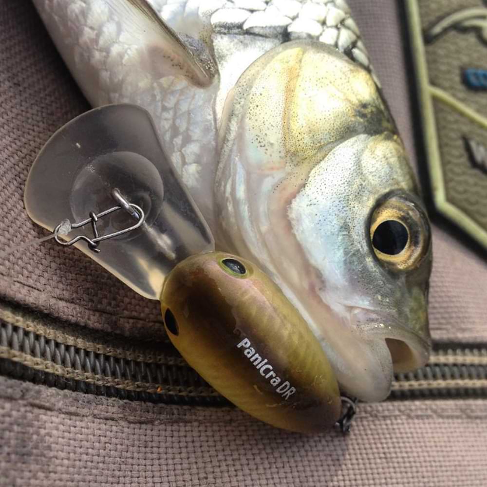 JACKALL PaniCra МR 32mm 3.3g