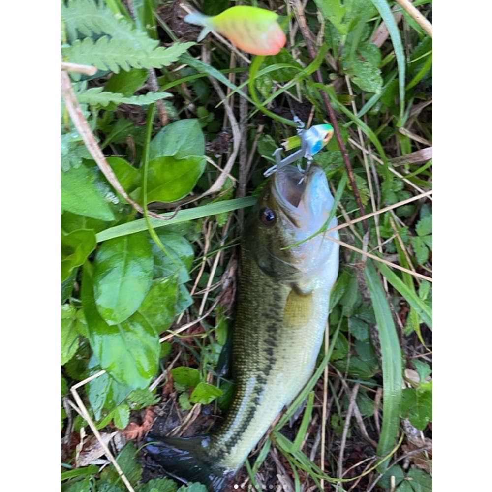 JACKALL JeuBlu 52mm 6.4g