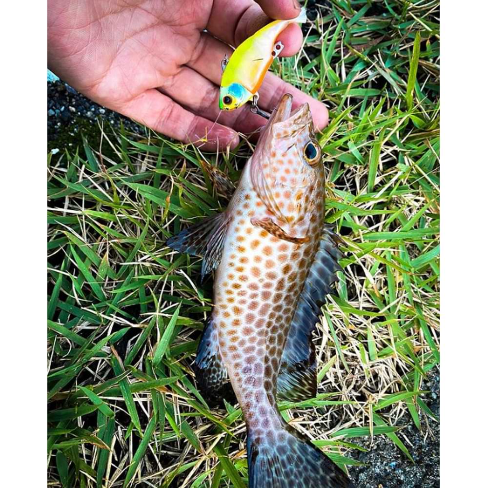 JACKALL JeuBlu 52mm 6.4g