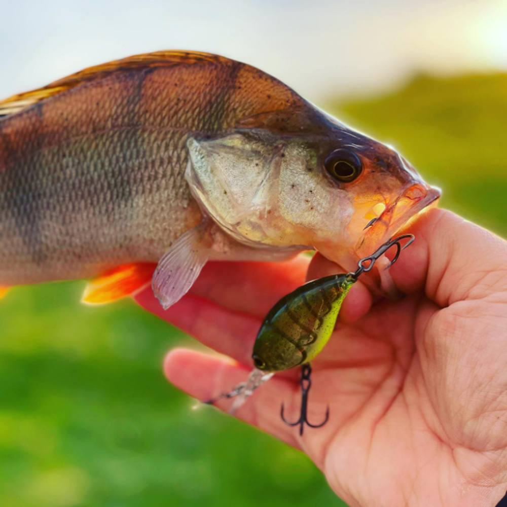 JACKALL Block Ripper 48 SR 48mm 7.8g Floating