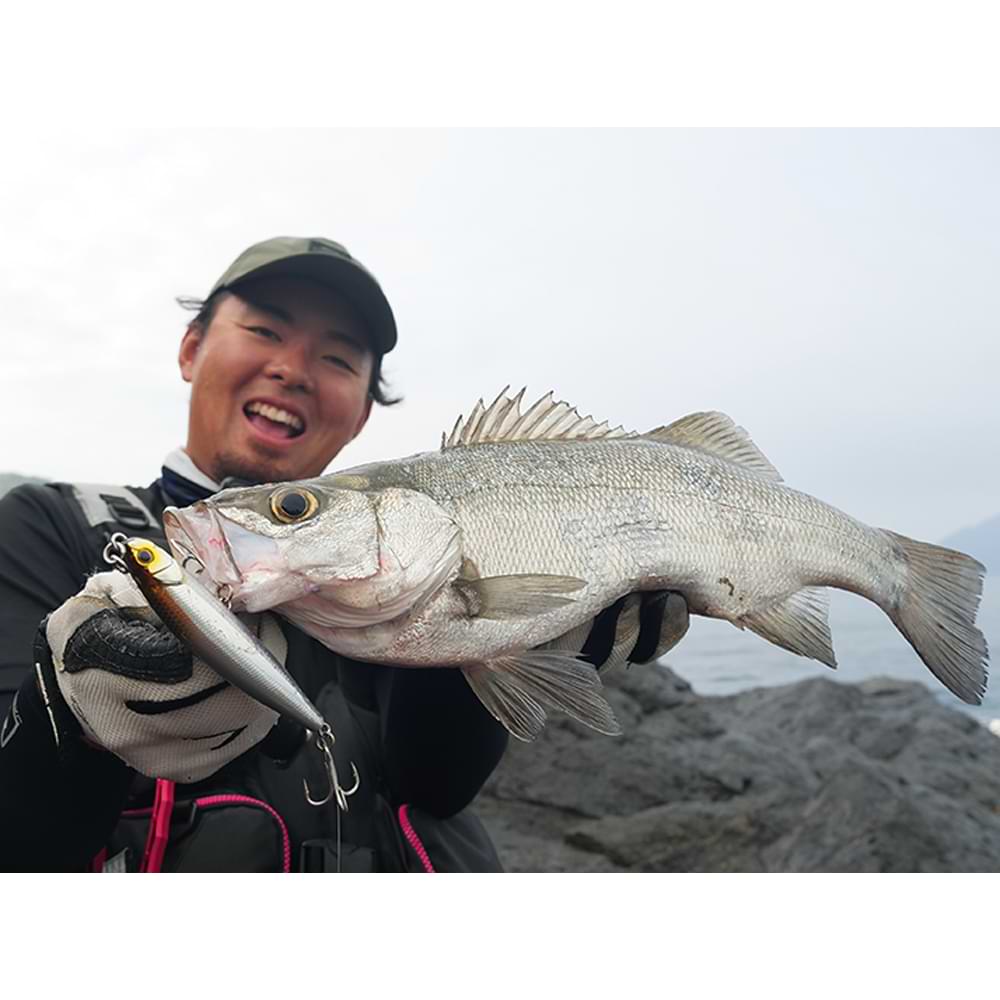 JACKALL Big Backer FallTrick 84mm 27.7g Sinking