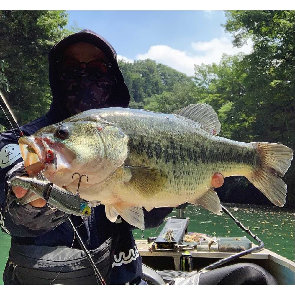 JACKALL Sleek Mikey 115 115mm 19g Floating