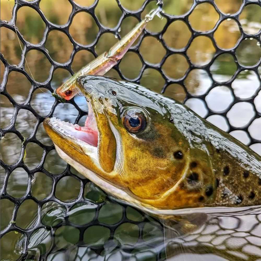 JACKALL Boil Trigger 77mm 5g Floating