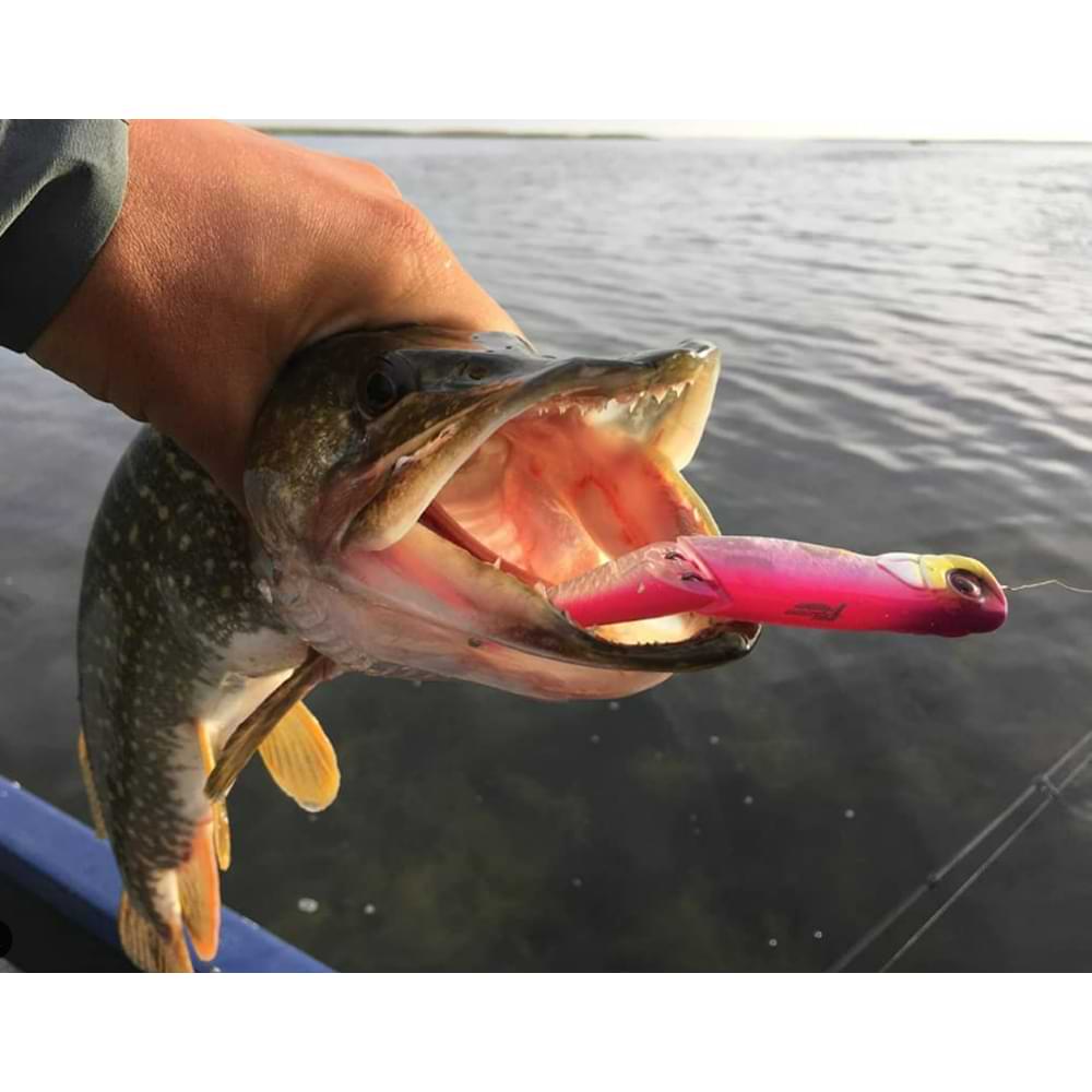 JACKALL Boil Trigger 77mm 5g Floating