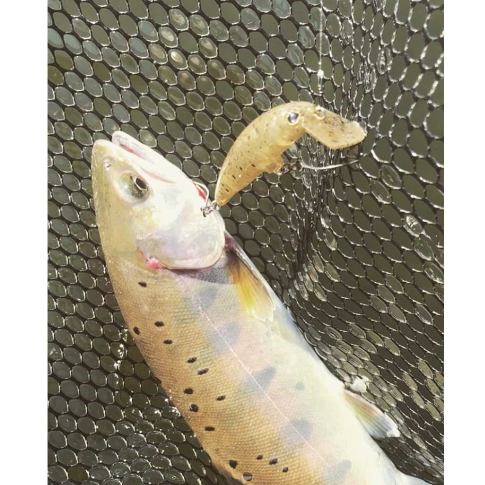 JACKALL Buri Buri Minnow 40mm 2.4g Floating