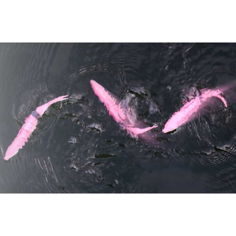 JACKALL Bounty Fish 158 158mm Floating