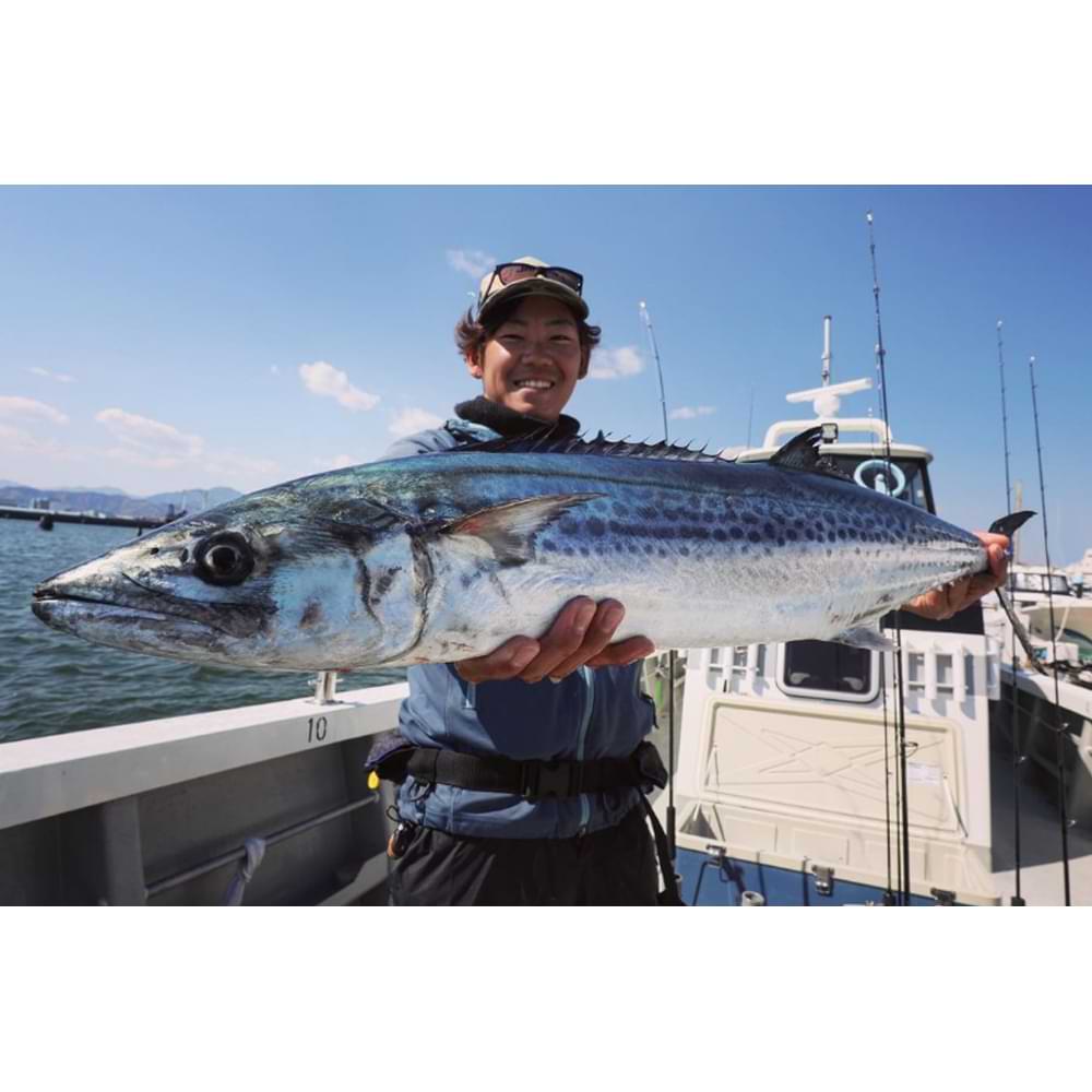 JACKALL Big Backer Anchopeed 103mm 42g FAST Sinking