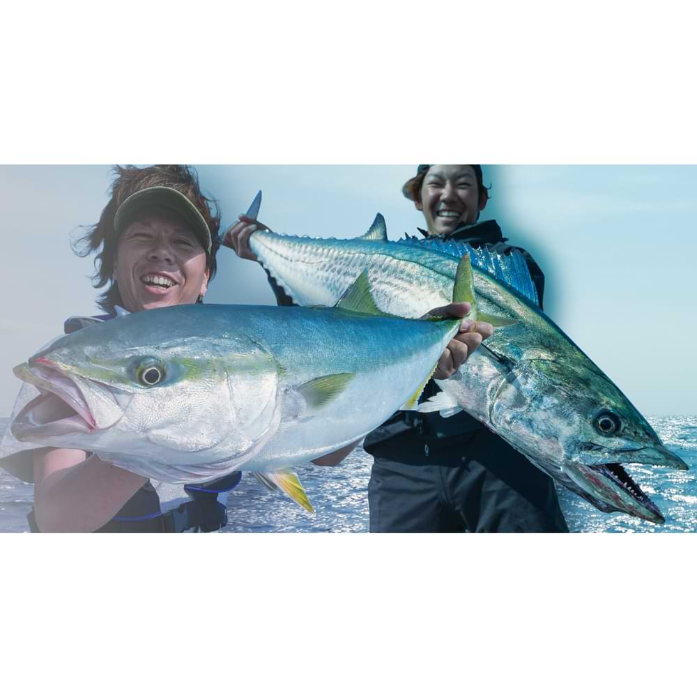 JACKALL Big Backer Anchopeed Slimlong 120mm 35g Sinking