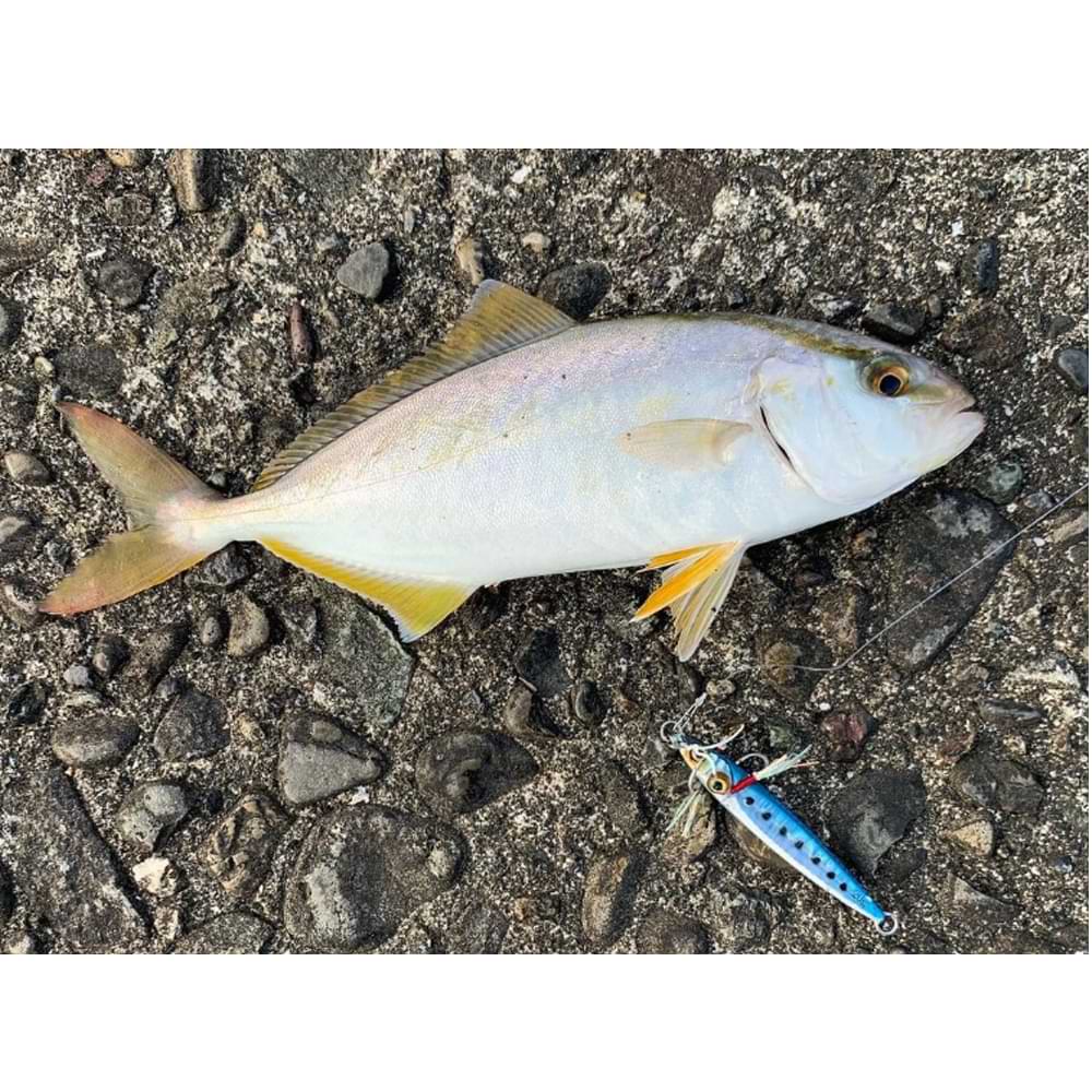 JACKALL Big Backer Fit Jig 50mm 10g