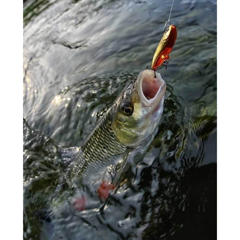 JACKALL Dartrun 46mm 3.4g Sinking