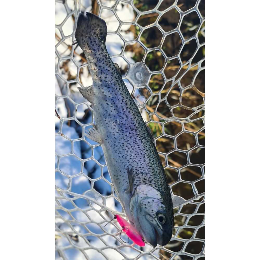 JACKALL Dartrun 46mm 3.4g Sinking