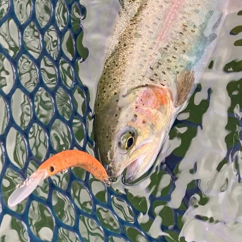 JACKALL Pepino DR 56mm 2.5g Floating