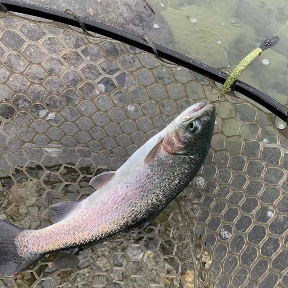 JACKALL Pepino DR 56mm 2.5g Floating