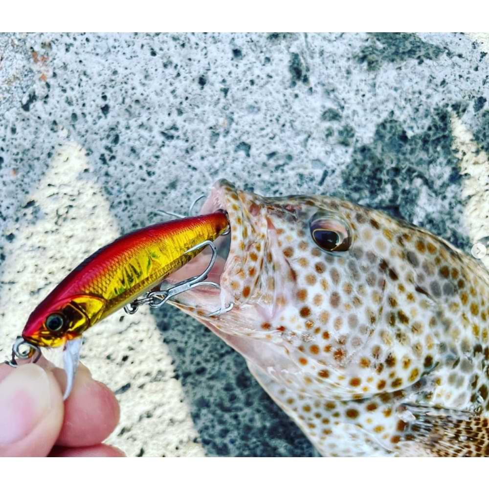 JACKALL Big Backer Fit Minnow 60mm 10.8g Sinking