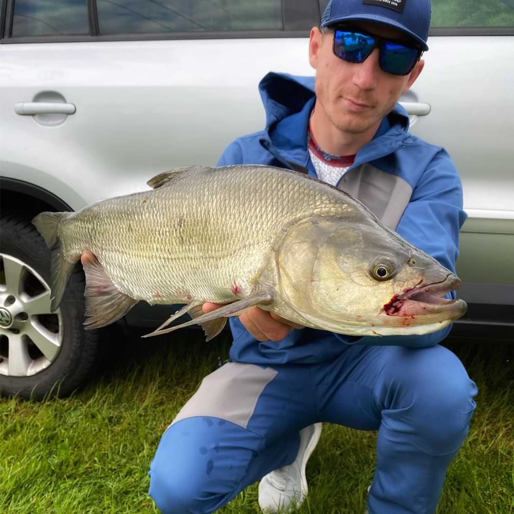 JACKALL Riser Bait 006 65mm 16g Sinking