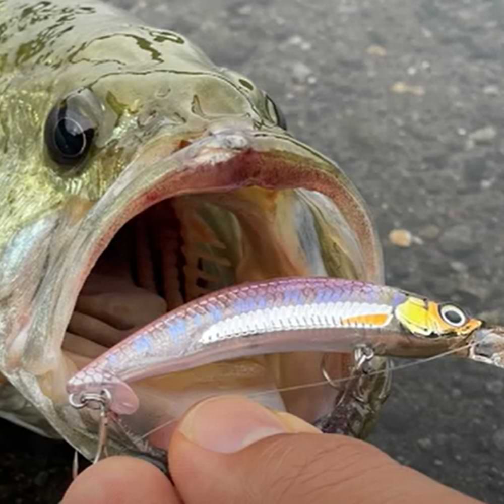 JACKALL Bass Pino 70F 70mm 4.5g Floating