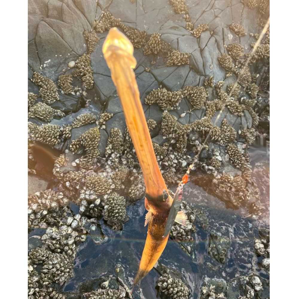 JACKALL CiAN Jig Default 157mm 85g