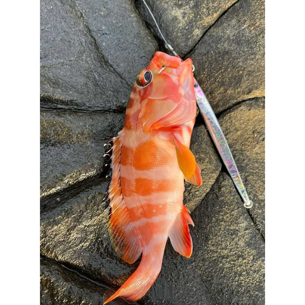 JACKALL CiAN Jig Default 157mm 85g