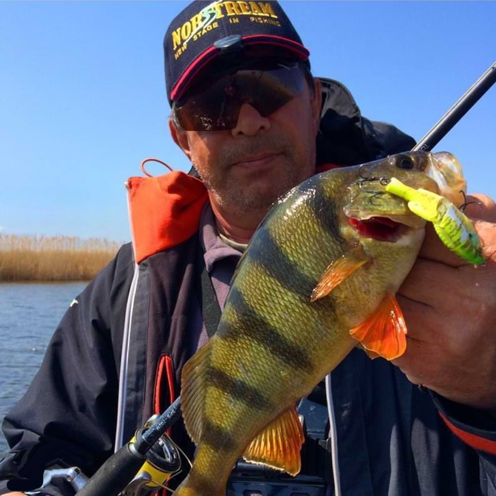 JACKALL Baby Giron 61mm 7.8g Sinking