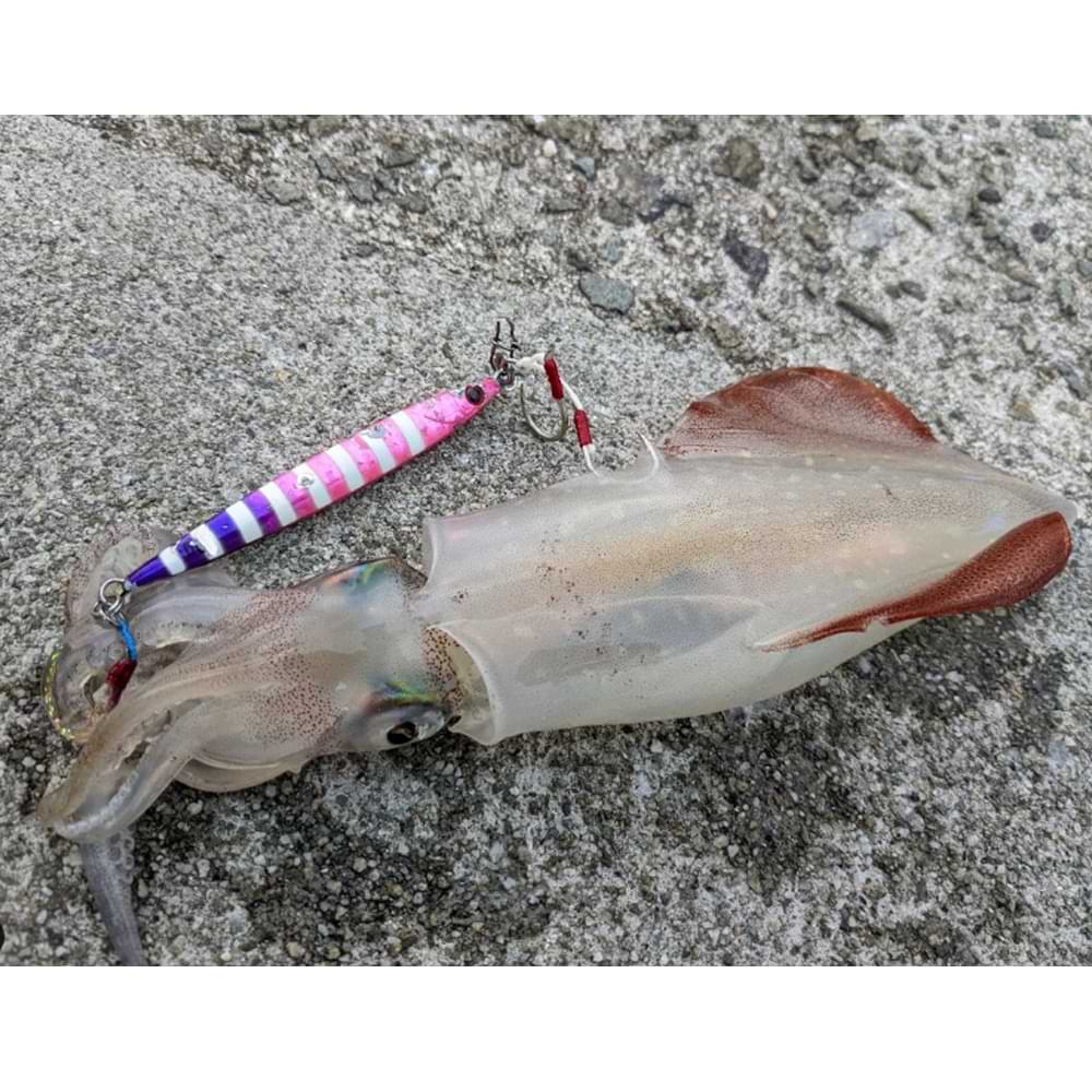 JACKALL Big Backer Jig Slide Stick 107mm 60g