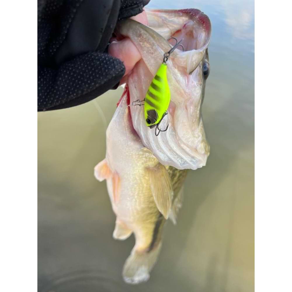 JACKALL Vibration TN/38 38mm 5.1g Sinking