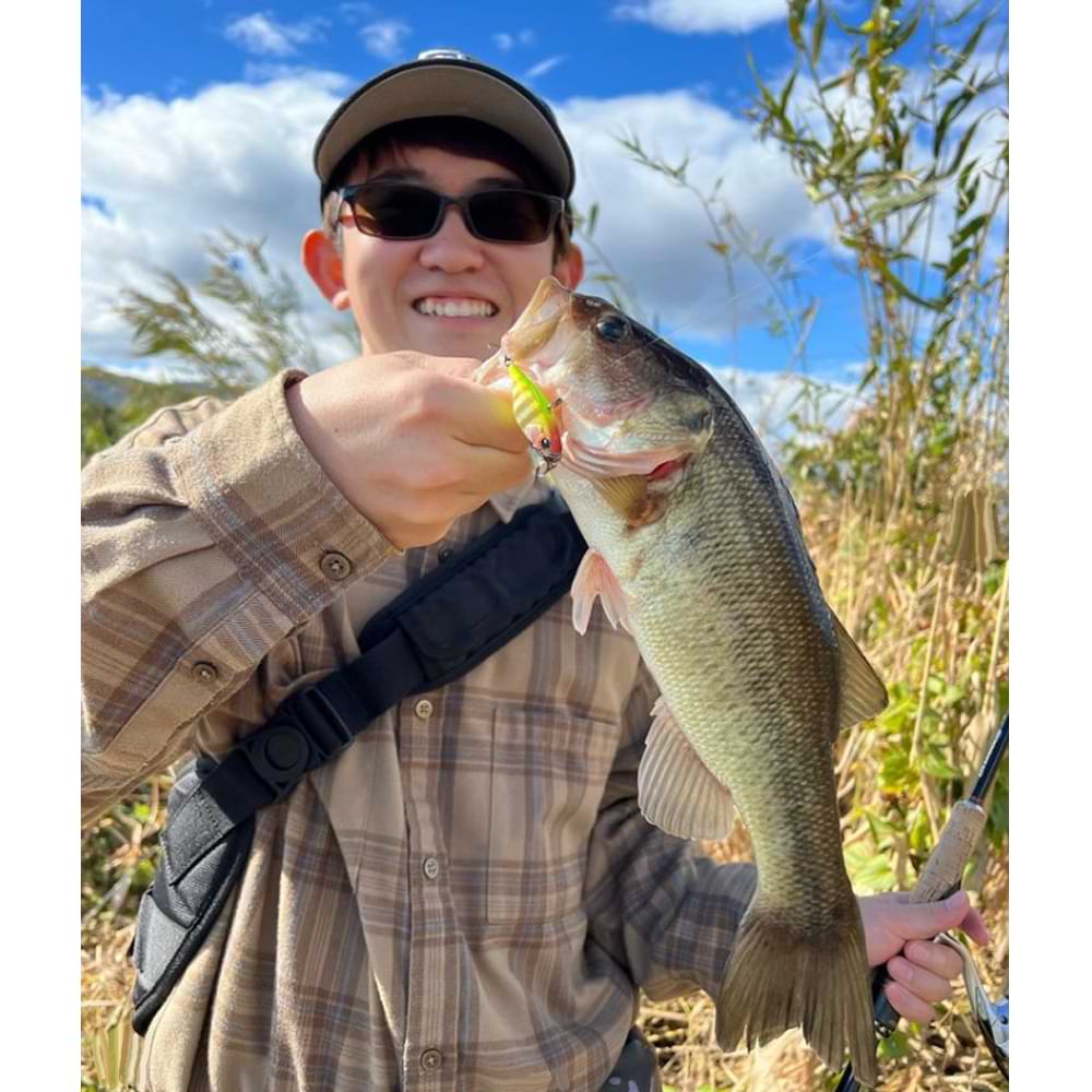 JACKALL Trigon TN/38 38mm 7.3g Sinking