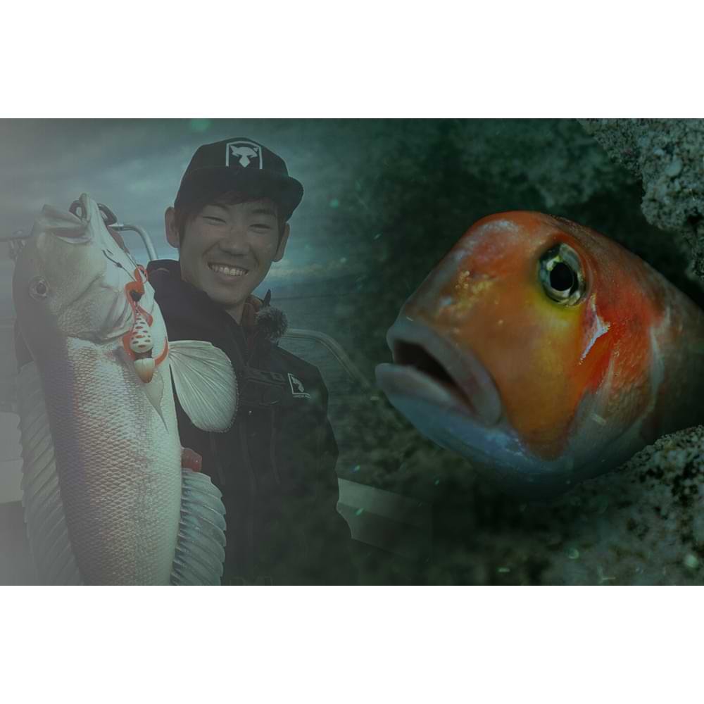 JACKALL TG BIN-BIN Switch AMADAI Special 120g