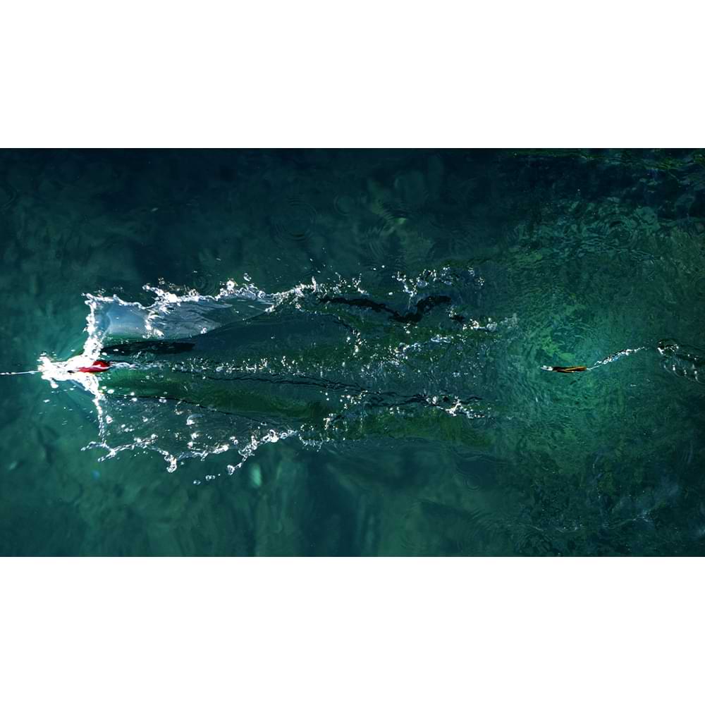 JACKALL Jettrow Mini 25g Sinking