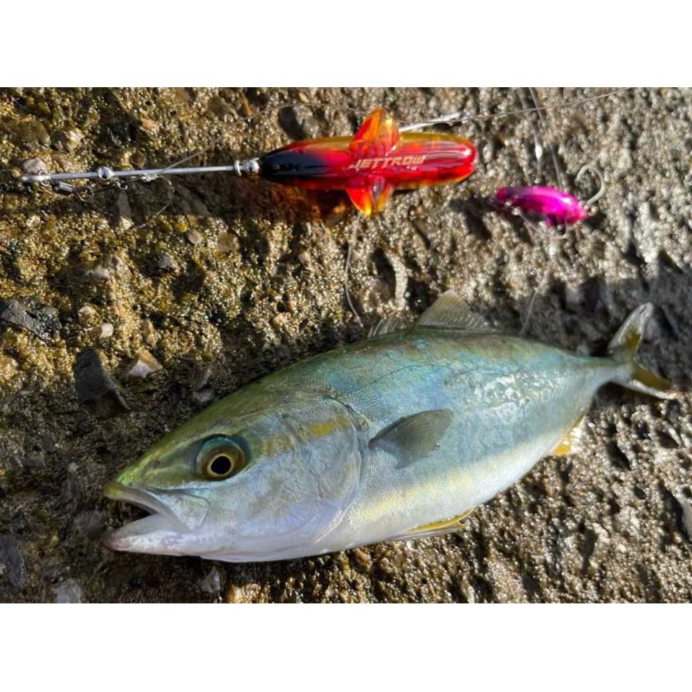 JACKALL Jettrow Mini 25g Sinking