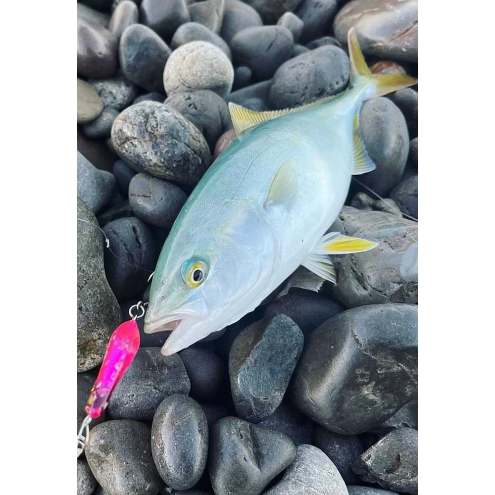 JACKALL Jettrow Buddy Mini 40mm 2g