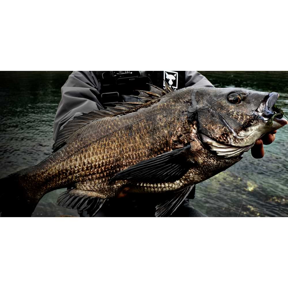 JACKALL Bleeker Bottom Switch 3.5g