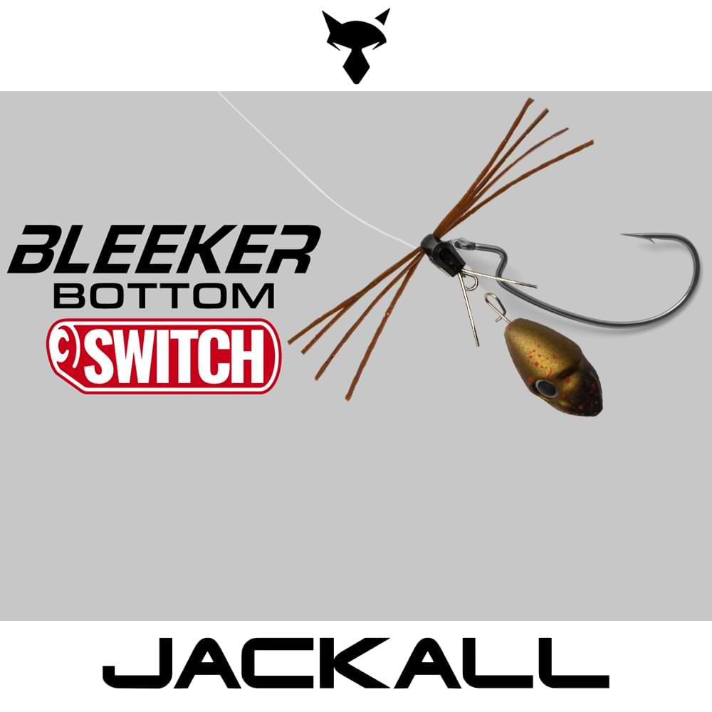 JACKALL Bleeker Bottom Switch 7g