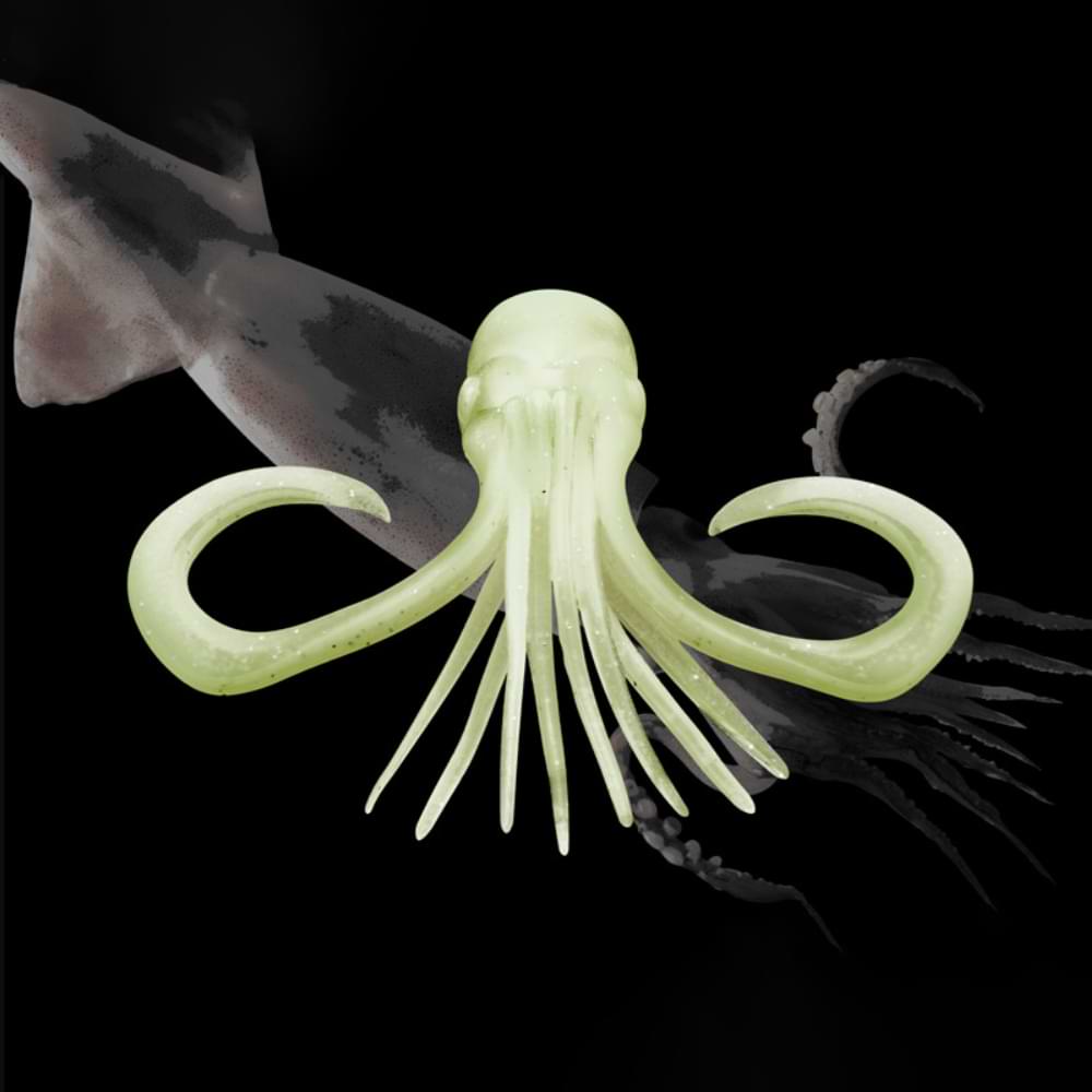 JACKALL BIN-BIN Switch Mask M