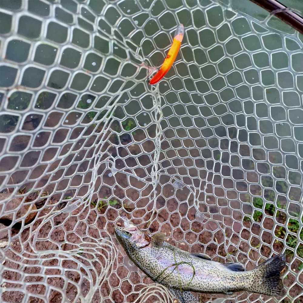 JACKALL Pepino SR 56mm 2.2g Floating