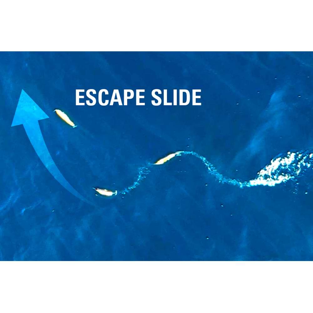 JACKALL CiAN Pencil Serpens 160F 160mm 40g Floating