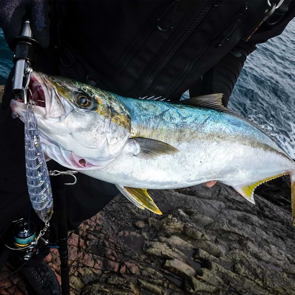 JACKALL CiAN Pencil Serpens 160F 160mm 40g Floating