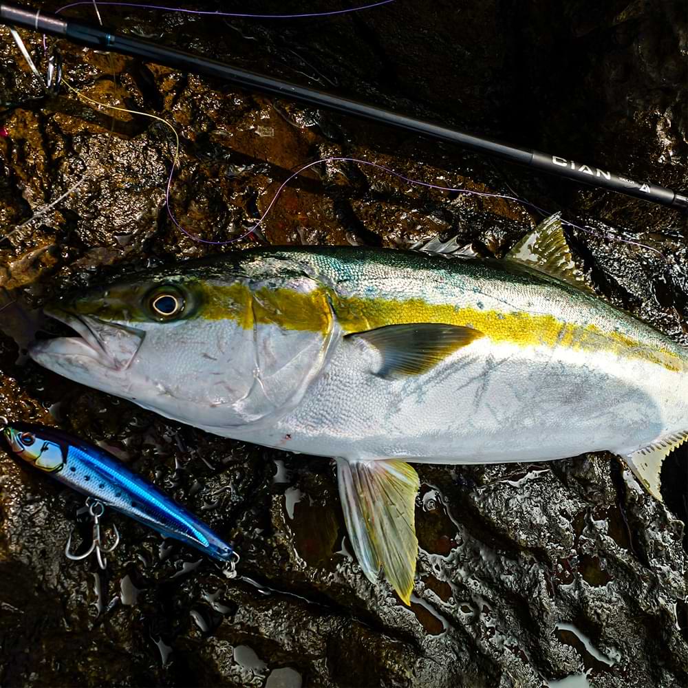 JACKALL CiAN Pencil Serpens 160F 160mm 40g Floating