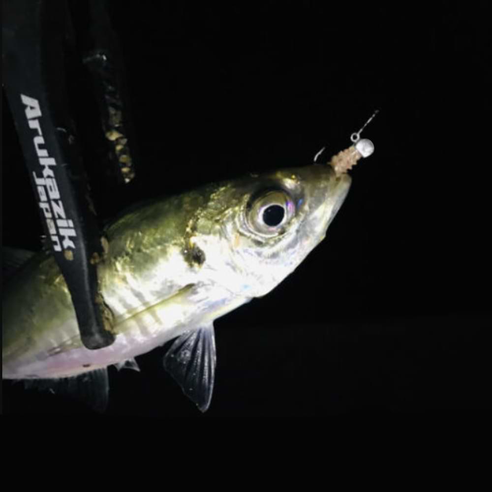 JACKALL LG Head Type TG