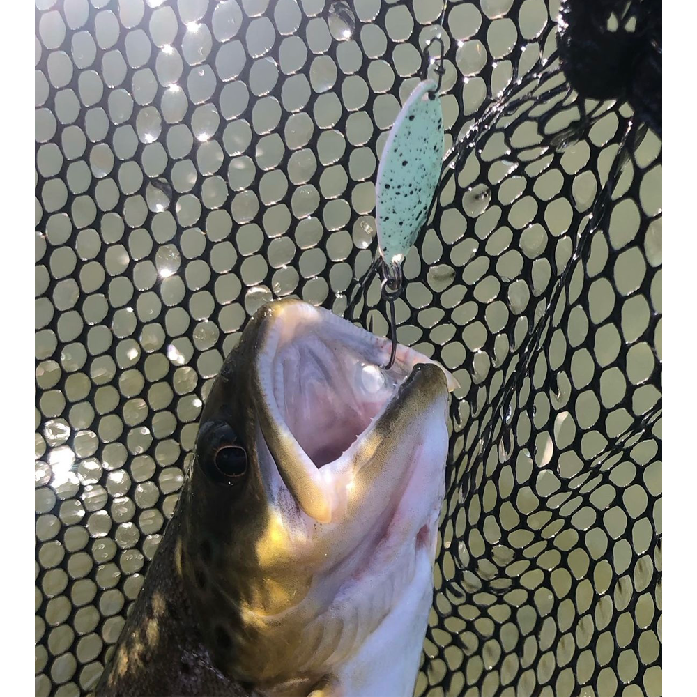 JACKALL Rhomy 37mm 3.9g