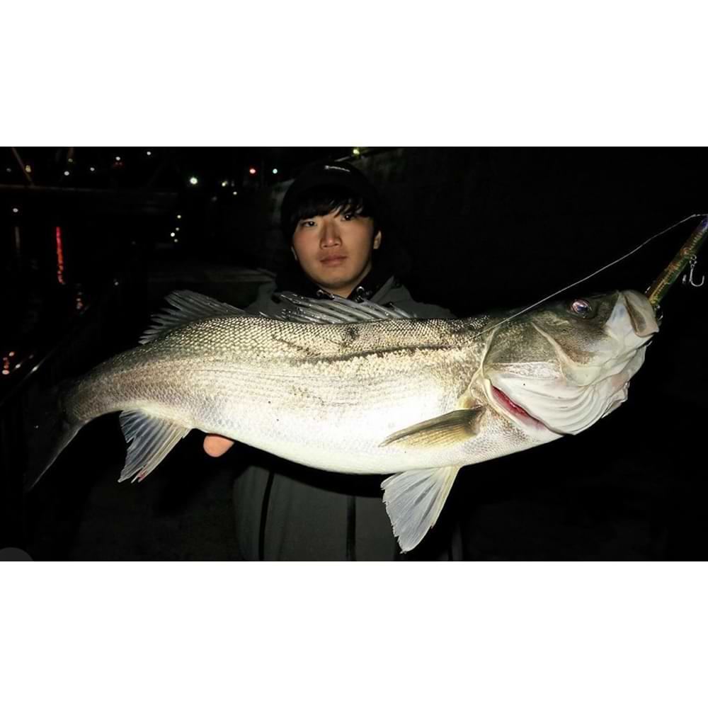 JACKALL Hiei 123SF 123mm 11.2g Slow Floating