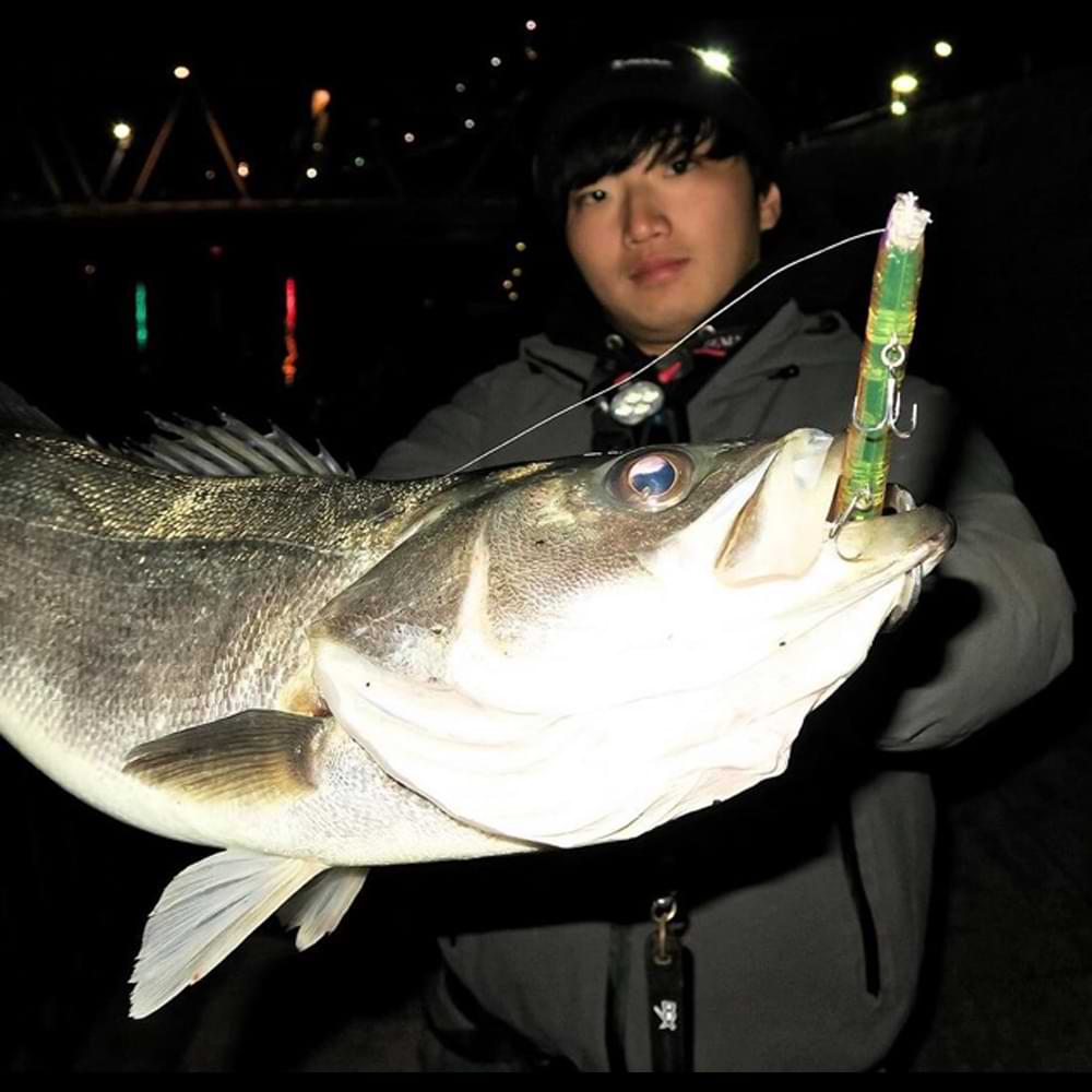 JACKALL Hiei 123SF 123mm 11.2g Slow Floating