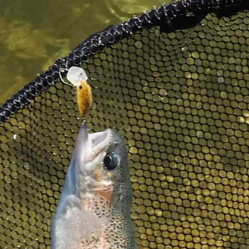 JACKALL Buri Buri Minnow HF Rattle 40mm 2.1g Floating