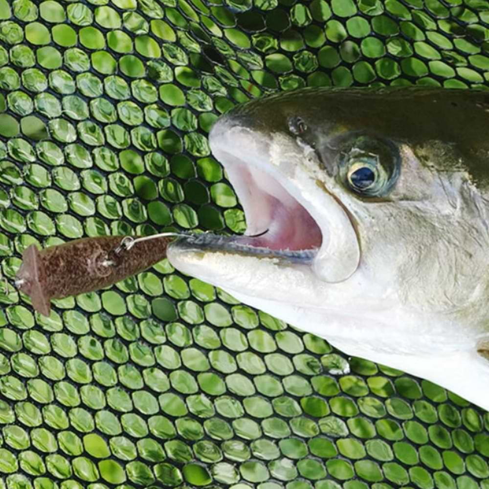 JACKALL Buri Buri Minnow HF Rattle 40mm 2.1g Floating