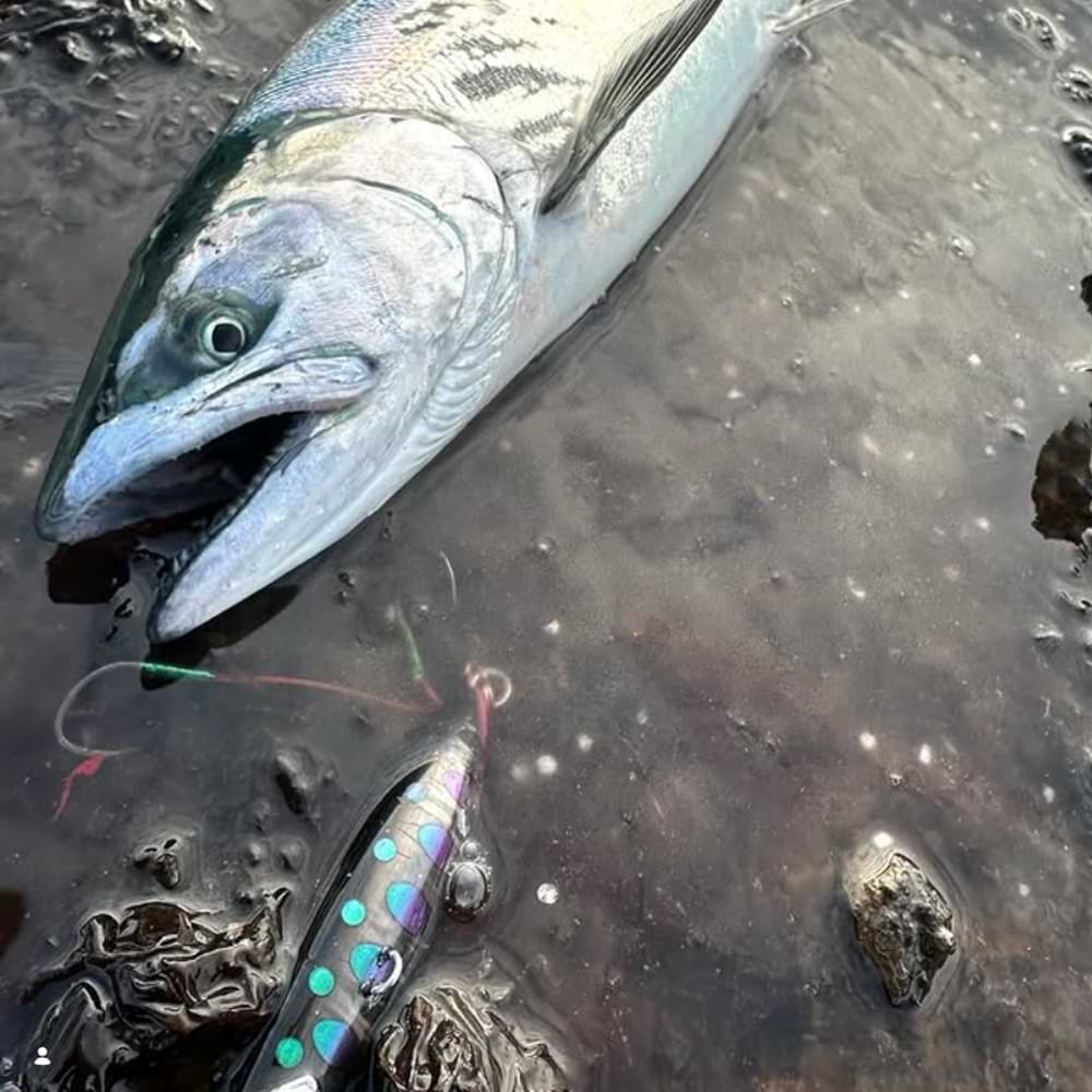 JACKALL Cutbacker North Special 28g